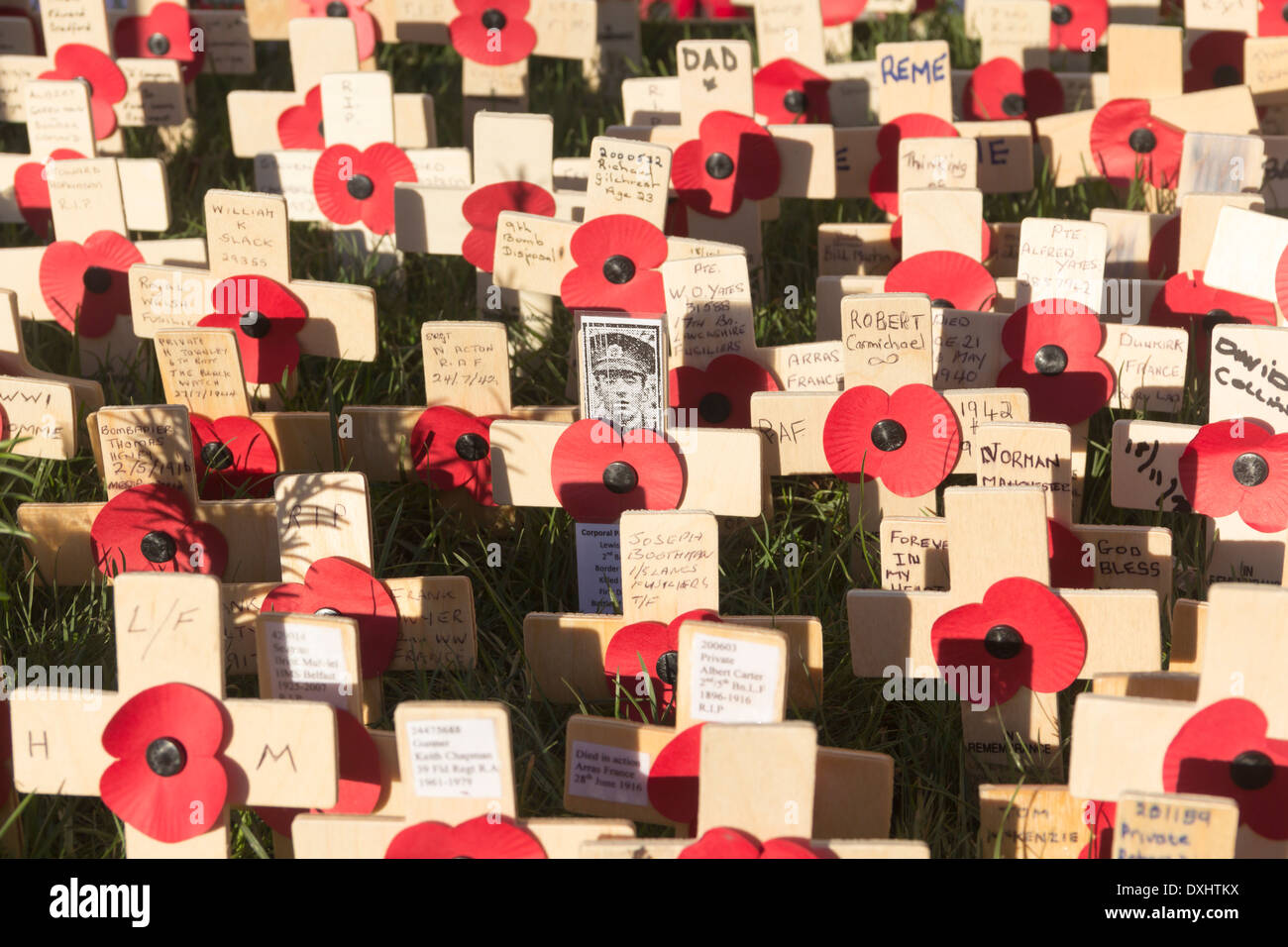 Les coquelicots et les inscriptions sur les petites croix de bois à enterrer War Memorial, Lancashire sur Dimanche du souvenir 2013. Banque D'Images