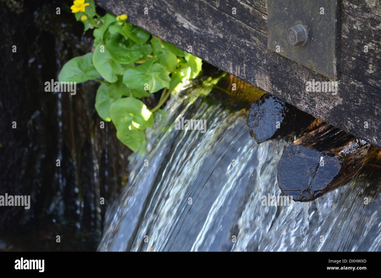 Verser de l'eau sur le dessus de la porte d'écluse sur le canal Banque D'Images