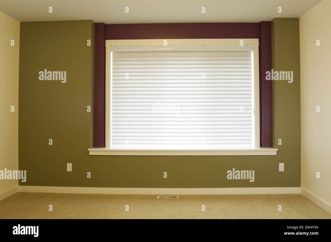 Photo horizontale de l'intérieur de mur accueil résidentiel peint en vert avec une grande fenêtre et de l'ombre en arrière-plan Banque D'Images