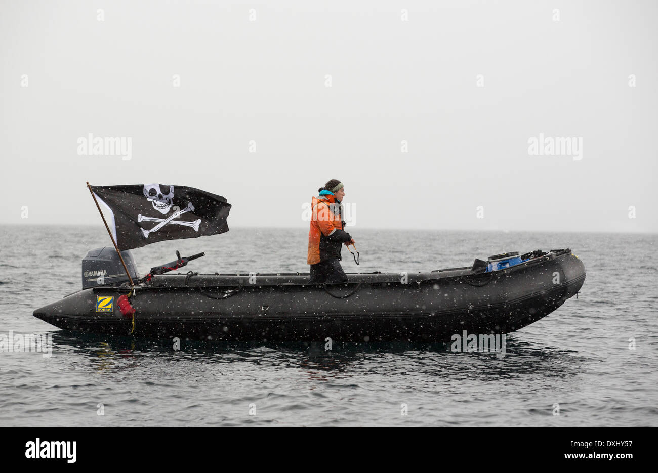 Un Zodiak dans avec un drapeau pirate sur une croisière expédition en Antarctique la péninsule. Banque D'Images