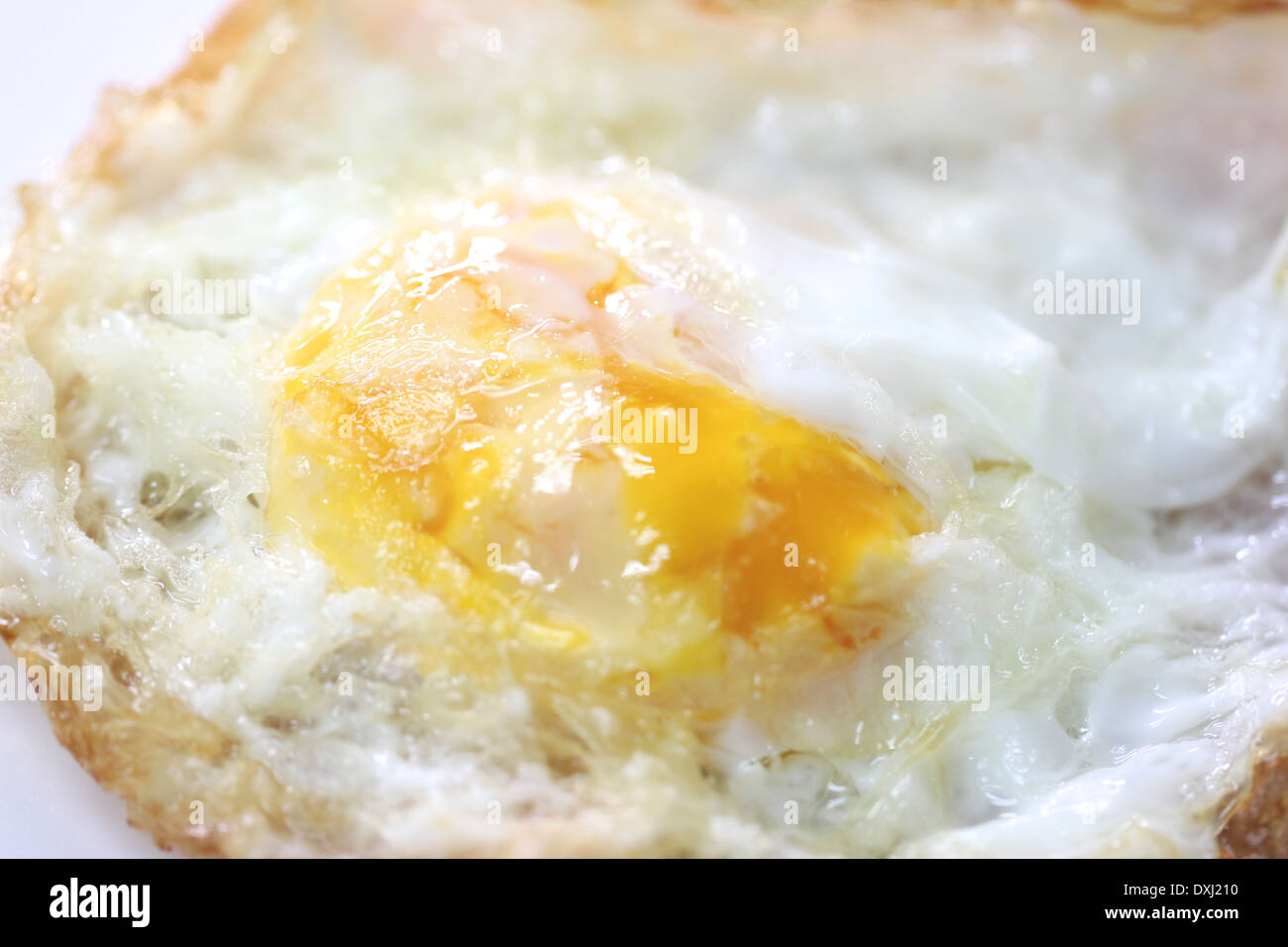 Libre œuf frit sur un plat blanc. Banque D'Images