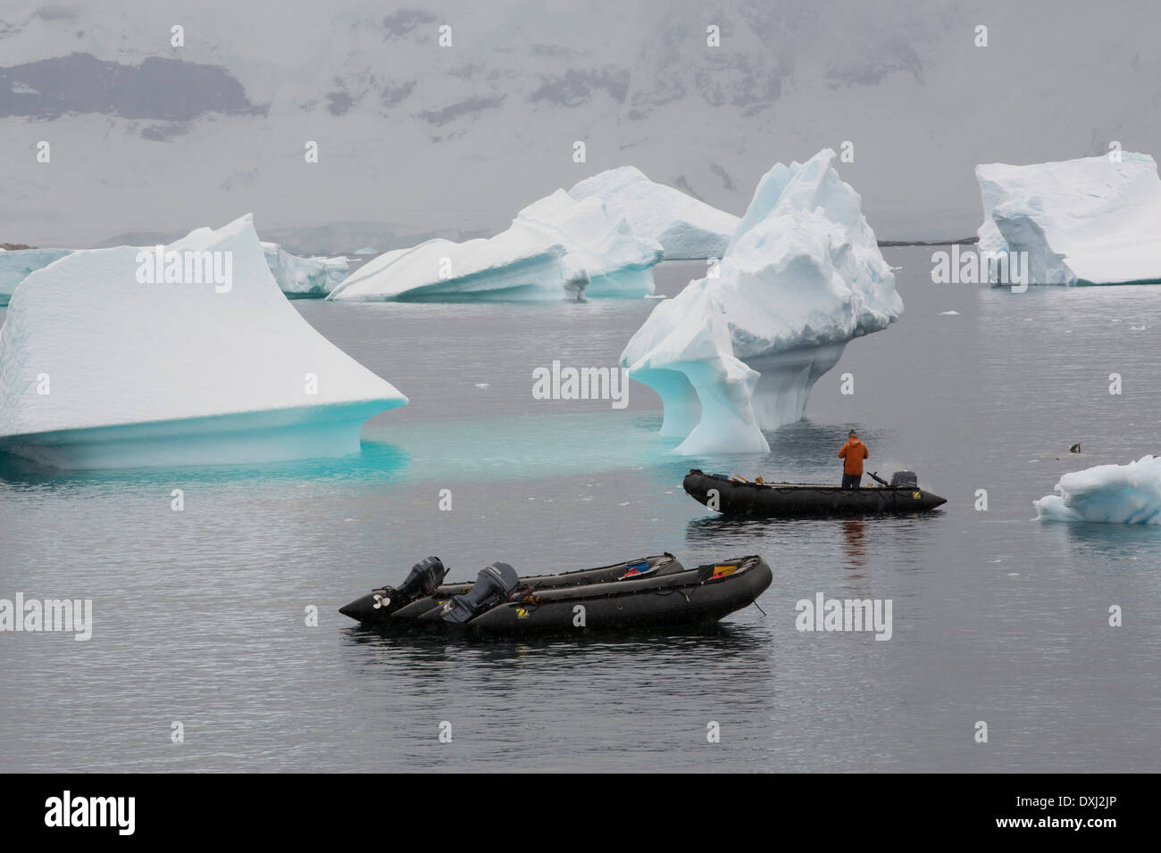 Les icebergs de Curverville île sur la péninsule antarctique, qui est un des plus rapides sur la planète des endroits de réchauffement, Banque D'Images