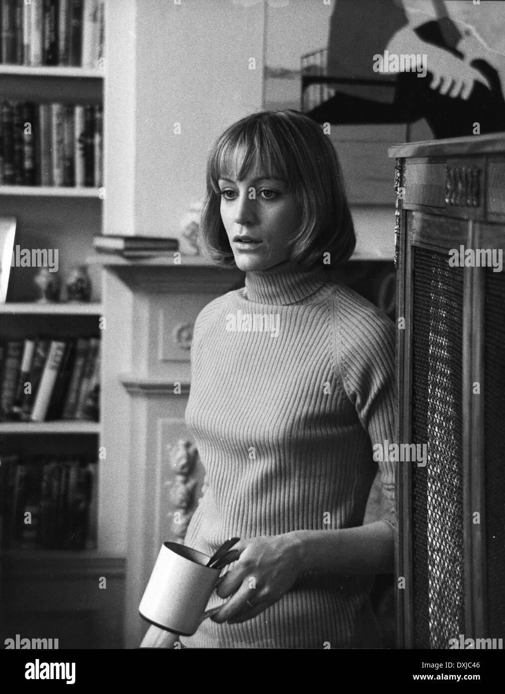 Journal d'une ménagère folle Banque D'Images