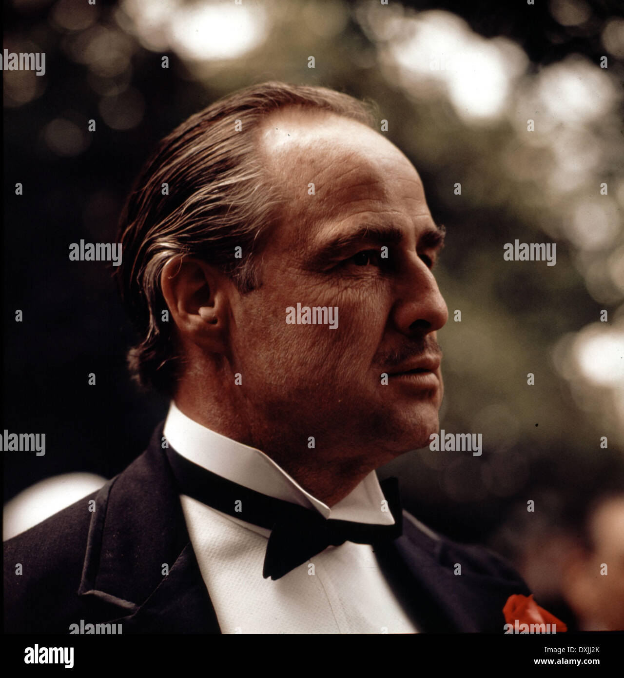 Le Parrain Marlon Brando Banque d'image et photos - Alamy