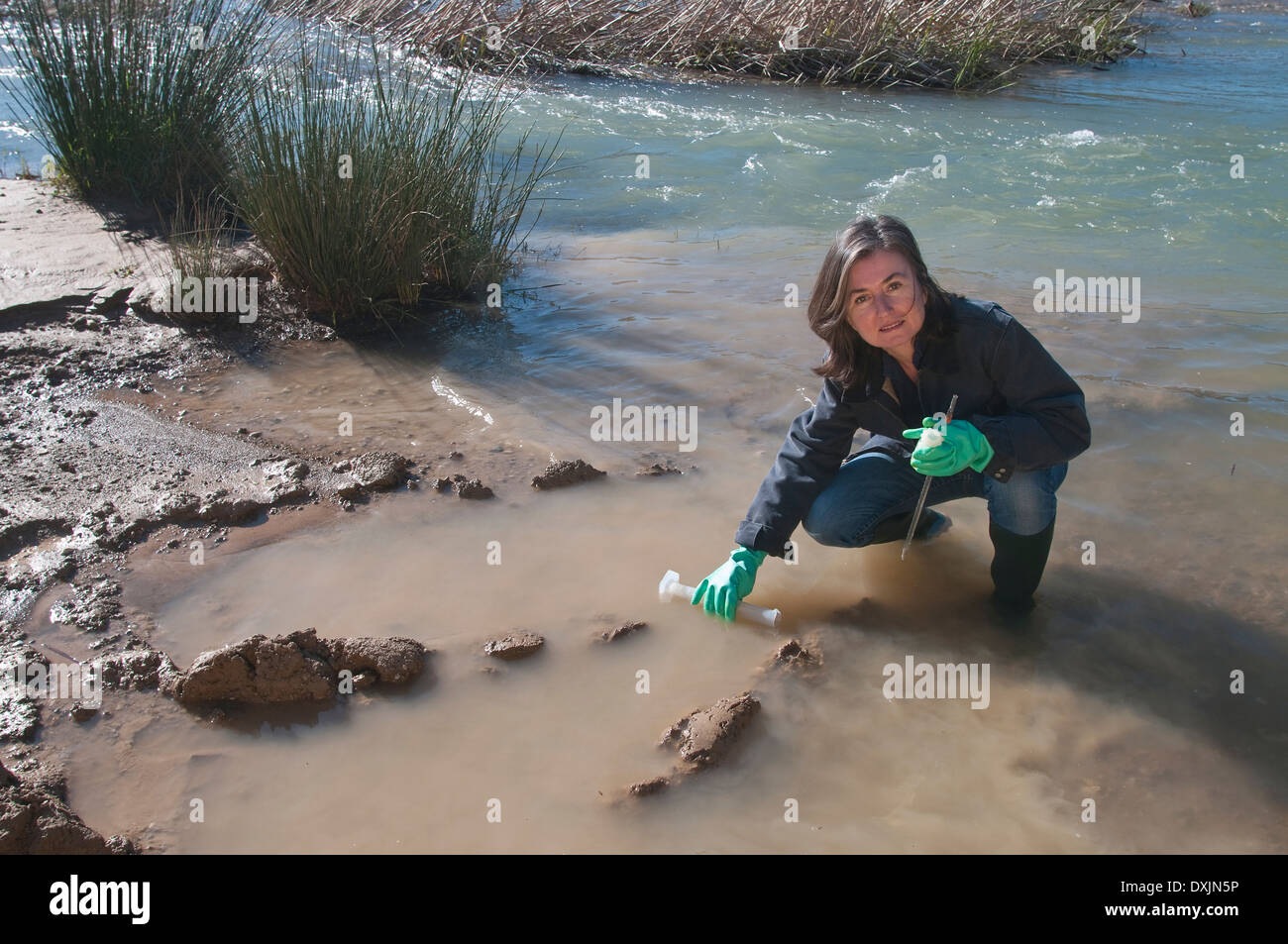 Libre de prendre l'échantillon d'eau dans le ruisseau Banque D'Images