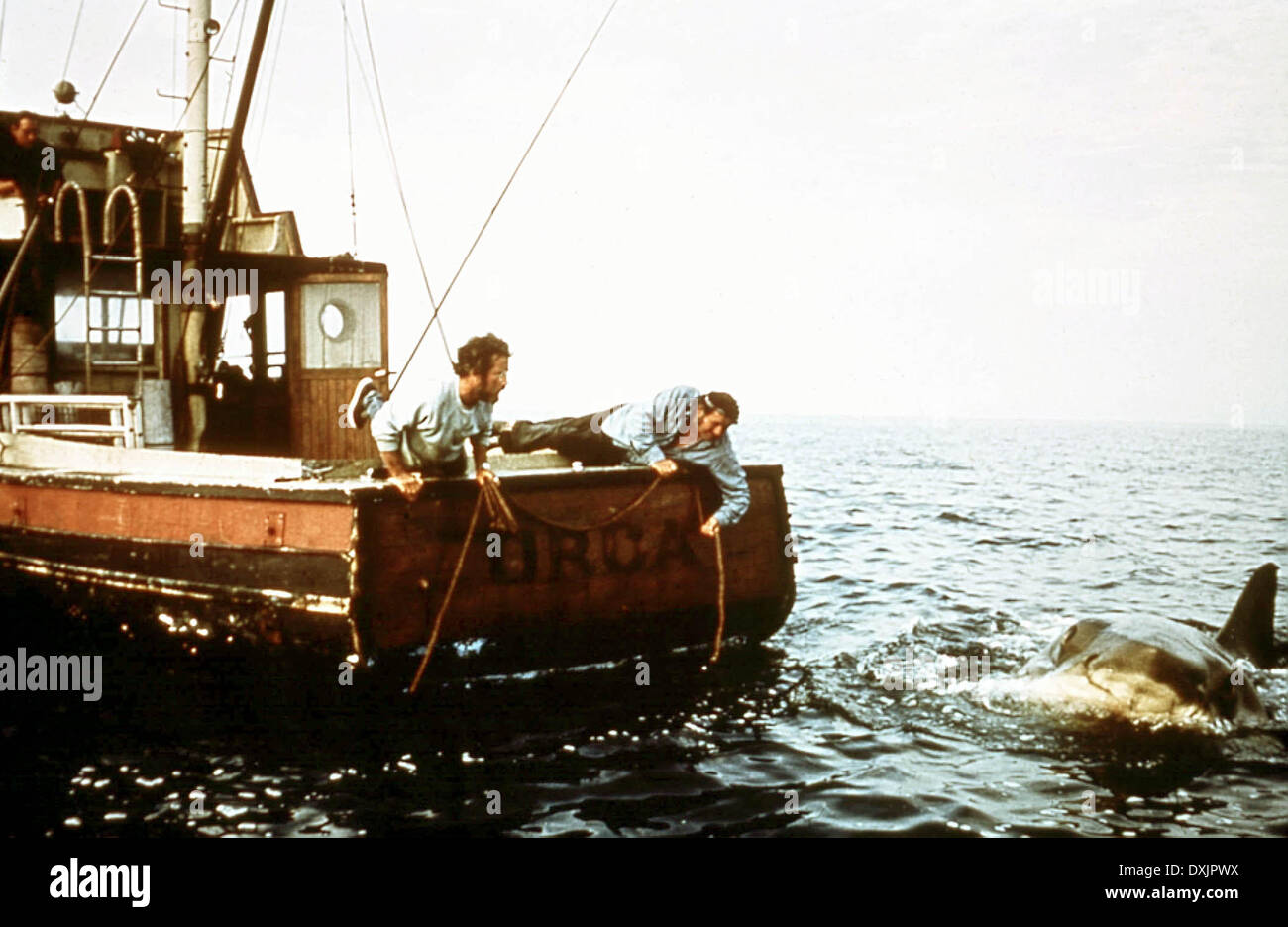 JAWS, 1975, film, film, Banque D'Images
