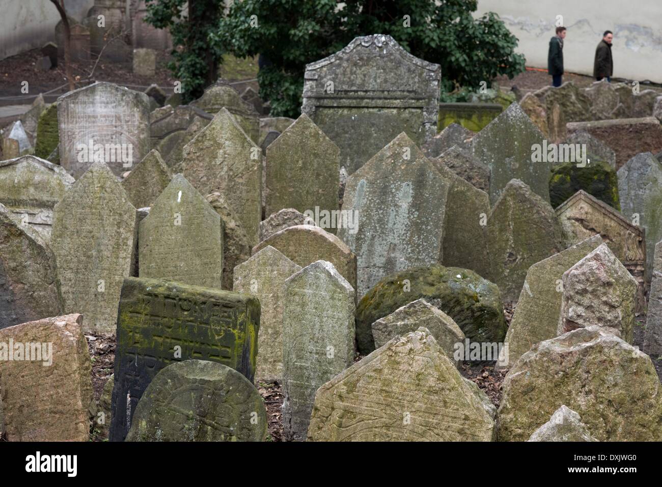 Le vieux cimetière juif de Prague. Le vieux cimetière juif de Prague (République tchèque : Vieux cimetière juif) est situé dans le quartier juif de Prague (République tchèque, le Josefov. - Avril 2013 Banque D'Images