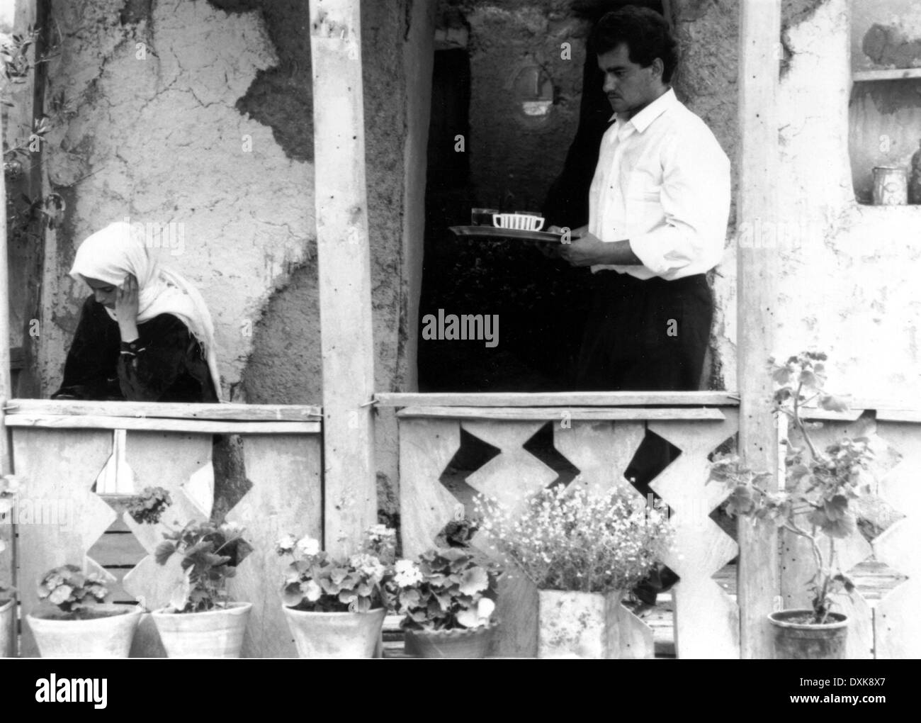 Au travers DES OLIVIERS (IRAN 1994) aka Zire darakhatan zeyt Banque D'Images