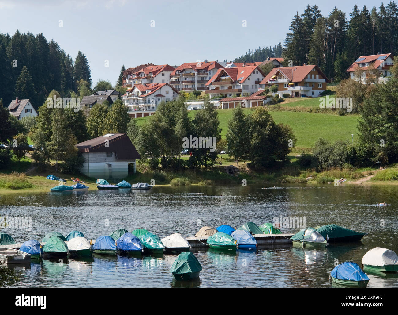 Le paysage autour de Schluchsee, un lac dans la Forêt-Noire (Allemagne du Sud) Banque D'Images