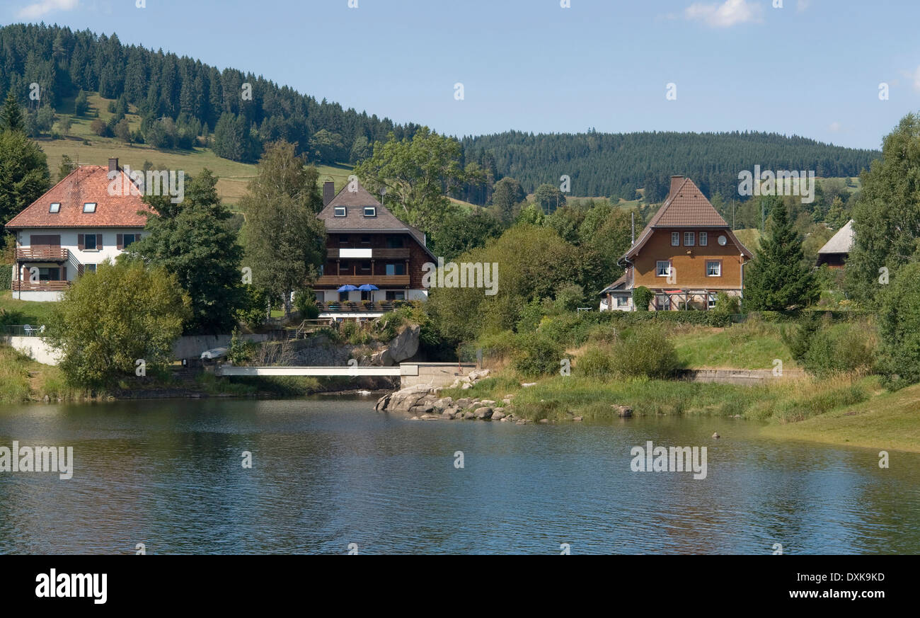 Le paysage autour de Schluchsee, un lac dans la Forêt-Noire (Allemagne du Sud) Banque D'Images