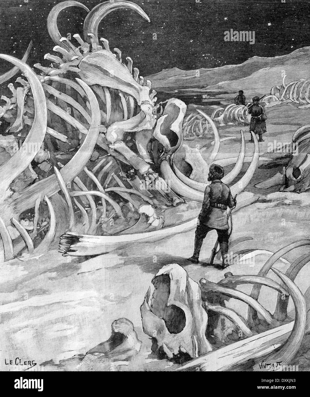Cimetière de squelettes de mammouth & Illustration 1897 défenses d'Alaska Banque D'Images