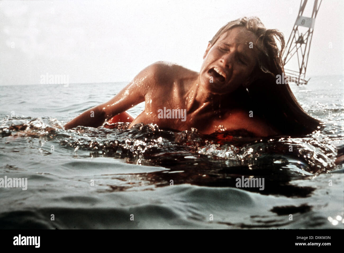 JAWS, 1975, film, film, Banque D'Images