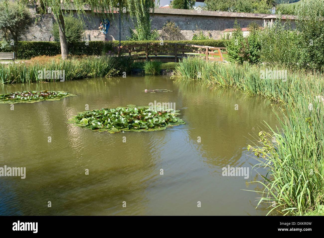 Détail d'une petite ville nommée 'Saint Pierre' dans la Forêt-Noire (Allemagne du Sud) montrant un étang lumineux ensoleillé Banque D'Images