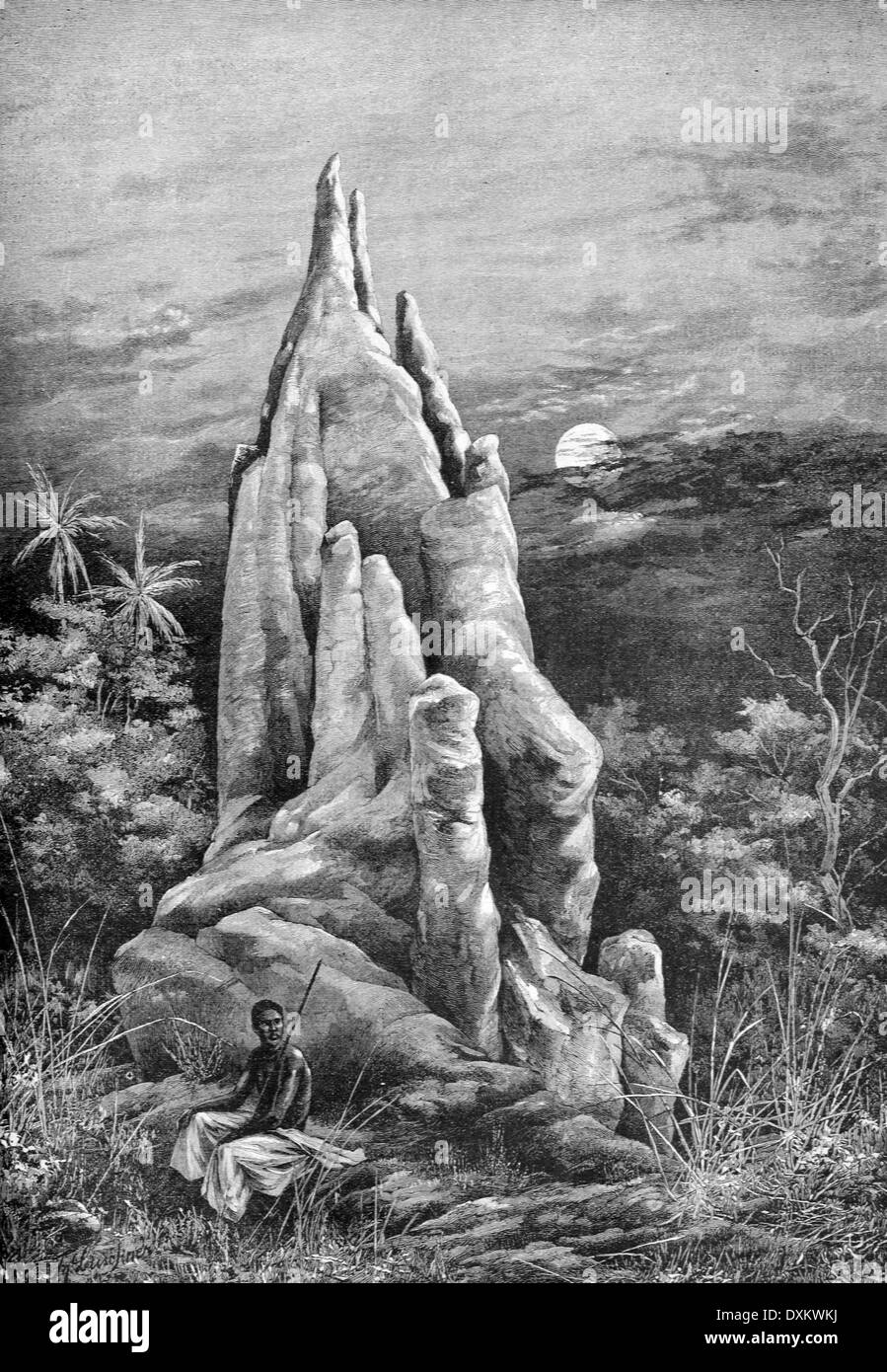 Termitière géante ou d'un nid d'illustration de l'Afrique 1897 Banque D'Images