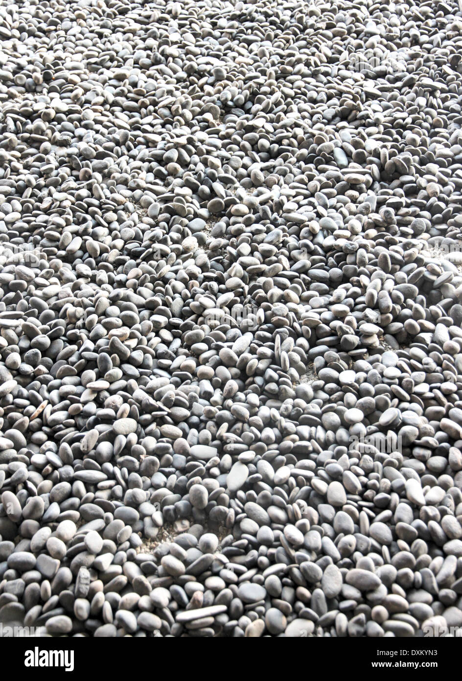 Un plan du sol décoratif d'une pierre de gravier pour le fond. Banque D'Images