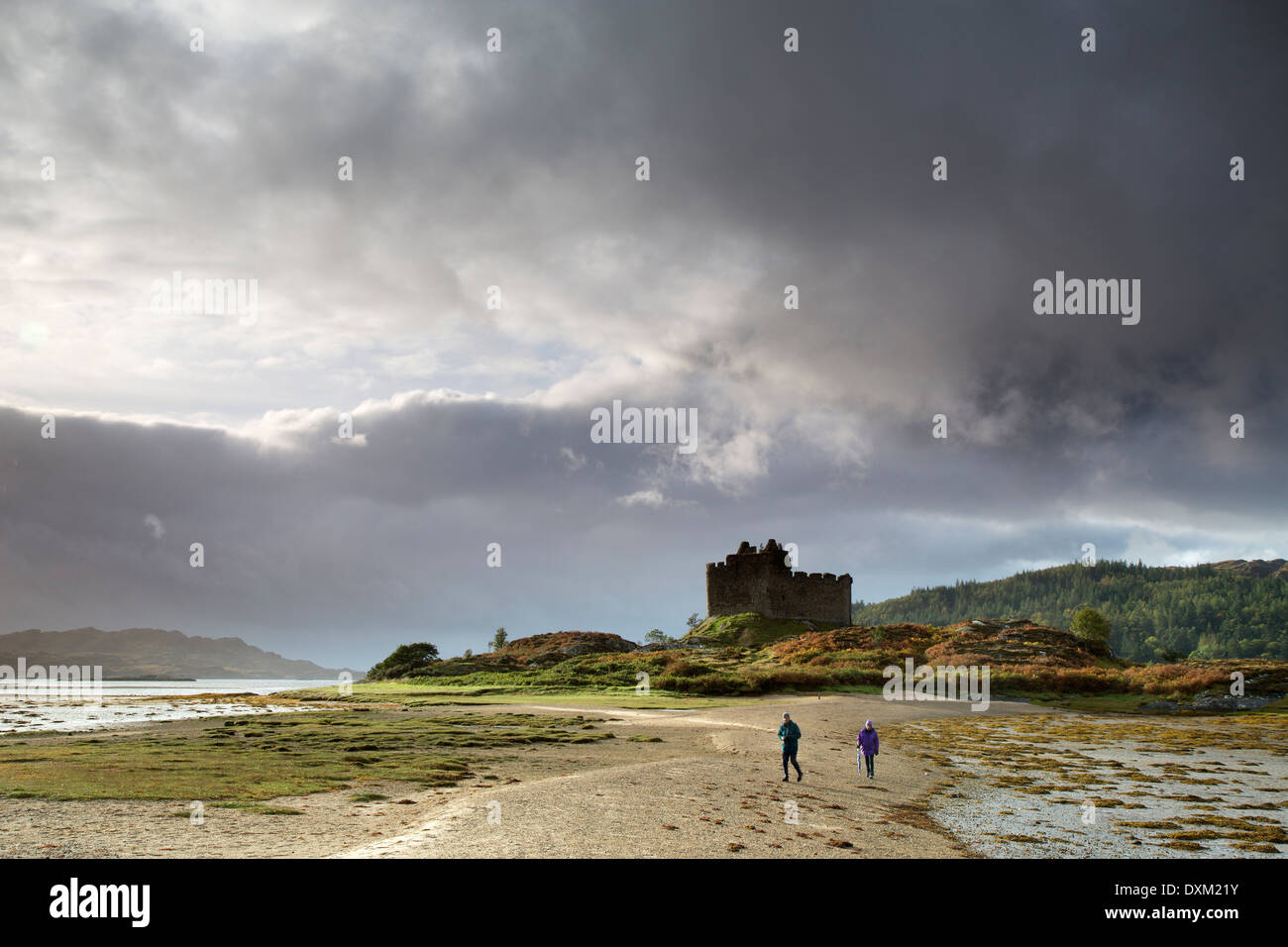 Eilean Tioram et Château de Tioram, Loch Moidart, Lochaber, Highland, en Écosse. Banque D'Images