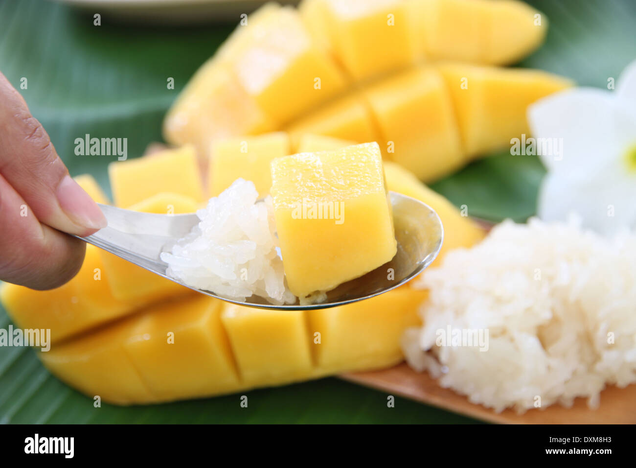 Mangue mûre et de riz collant dans spoon,local aliments thaïlandais. Banque D'Images
