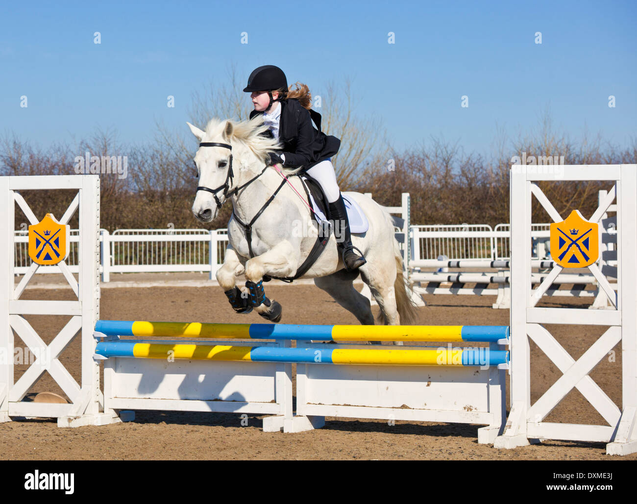 Jeune fille sautant un Cheval poney blanc sur un saut à un événement de saut Banque D'Images
