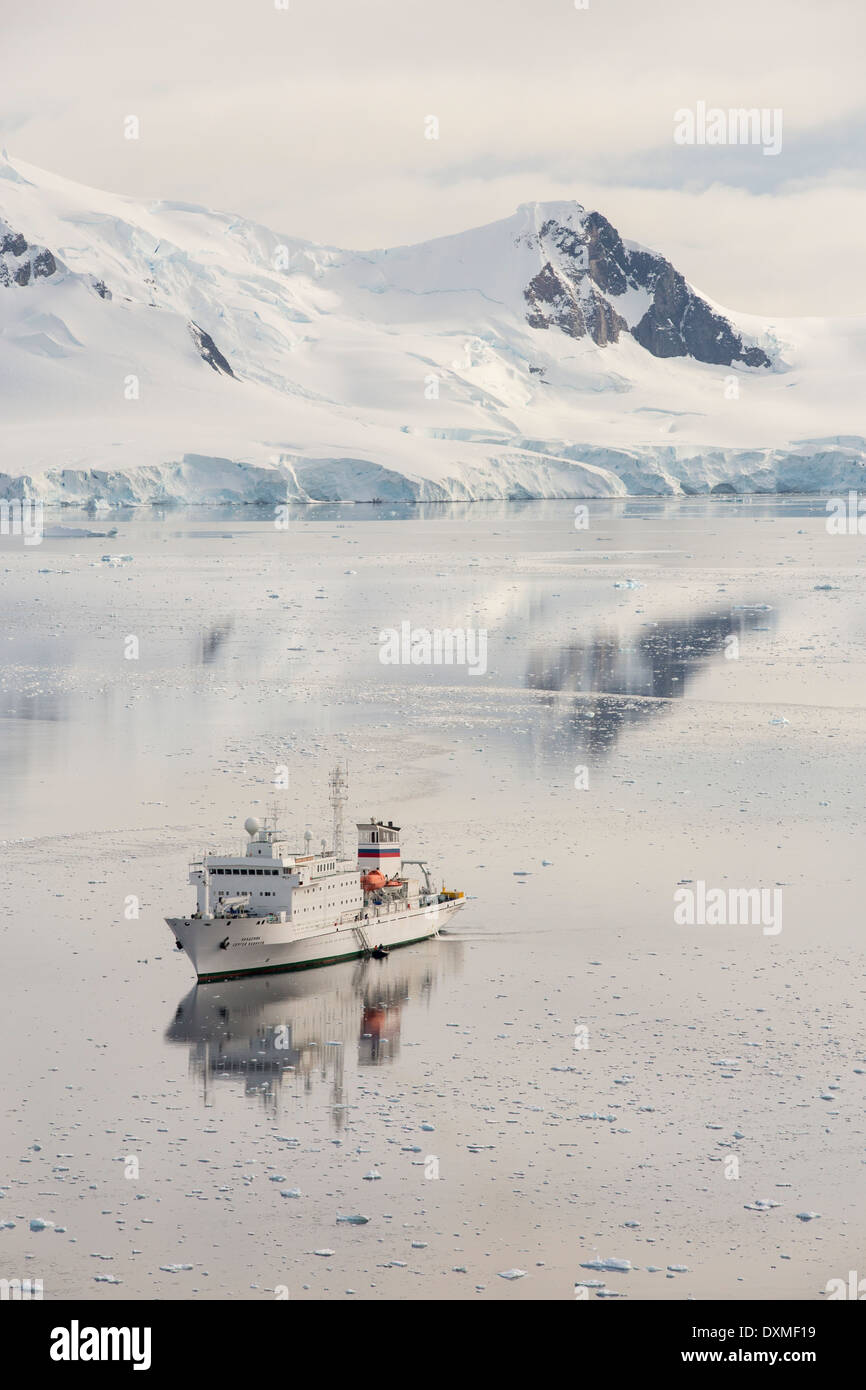 L'Akademik Sergey Vavilov, un renforcement de la glace sur un navire de croisière expédition en Antarctique, dans la région de Paradise Bay Banque D'Images