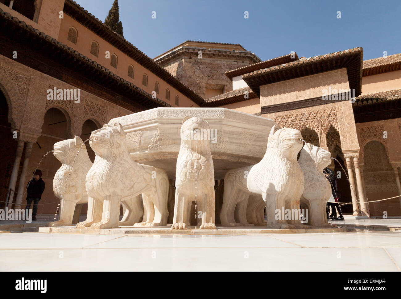 Le Patio de los Leones (Cour des Lions ) fontaine, Palais Nasrides, Palais de l'Alhambra de Grenade, Andalousie Espagne Banque D'Images