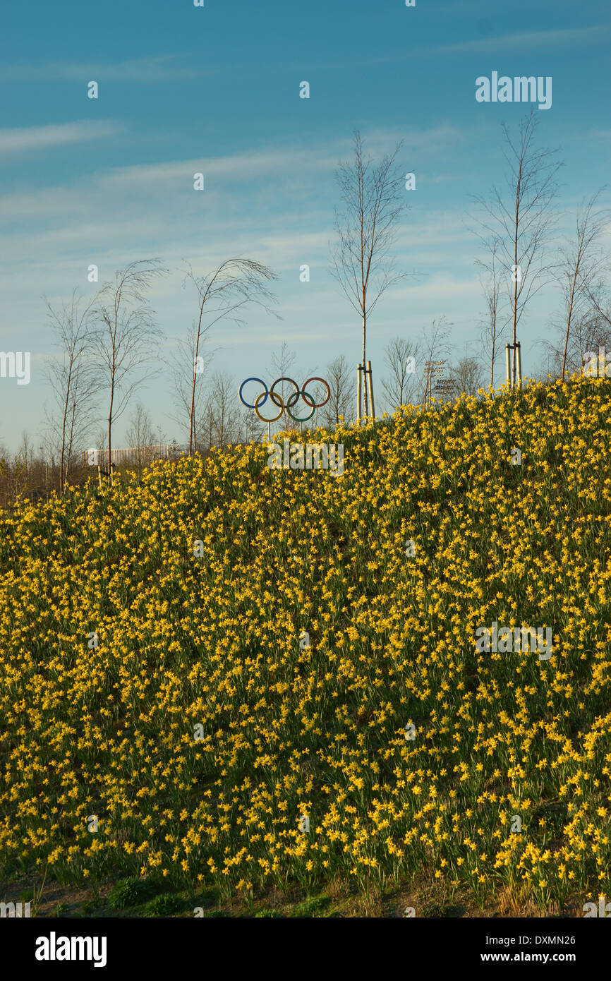 Anneaux olympiques sur le parc olympique de Londres 2012 Banque D'Images