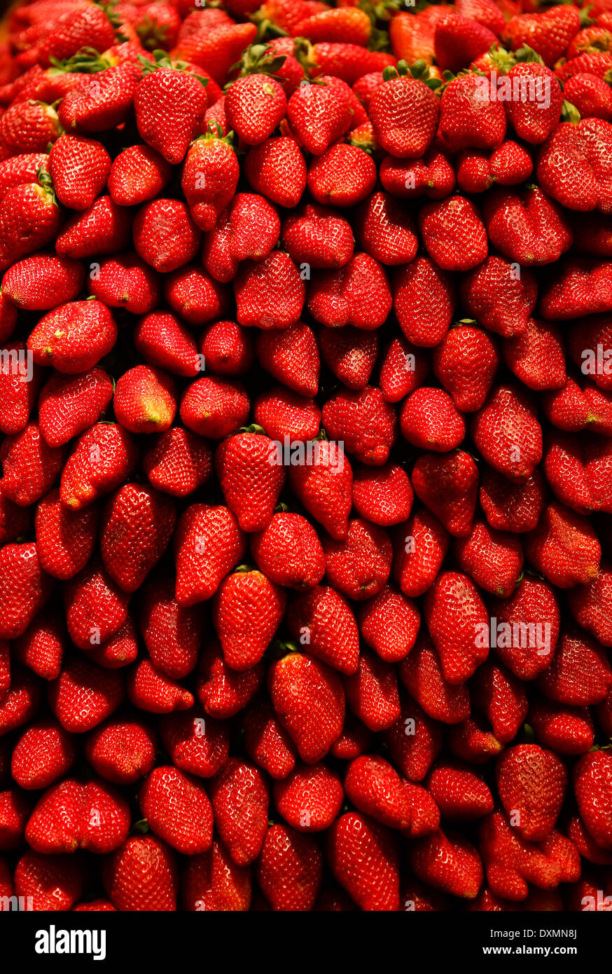 Les fraises vu sur un marché local à l'île de Majorque, Espagne Banque D'Images