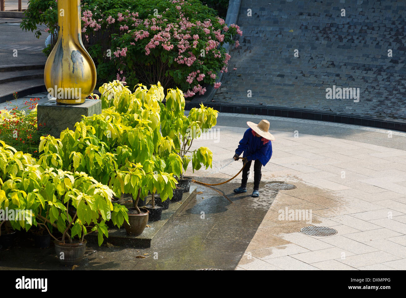 Le jardinier dans Benjakitti Park à Bangkok, Thaïlande Banque D'Images