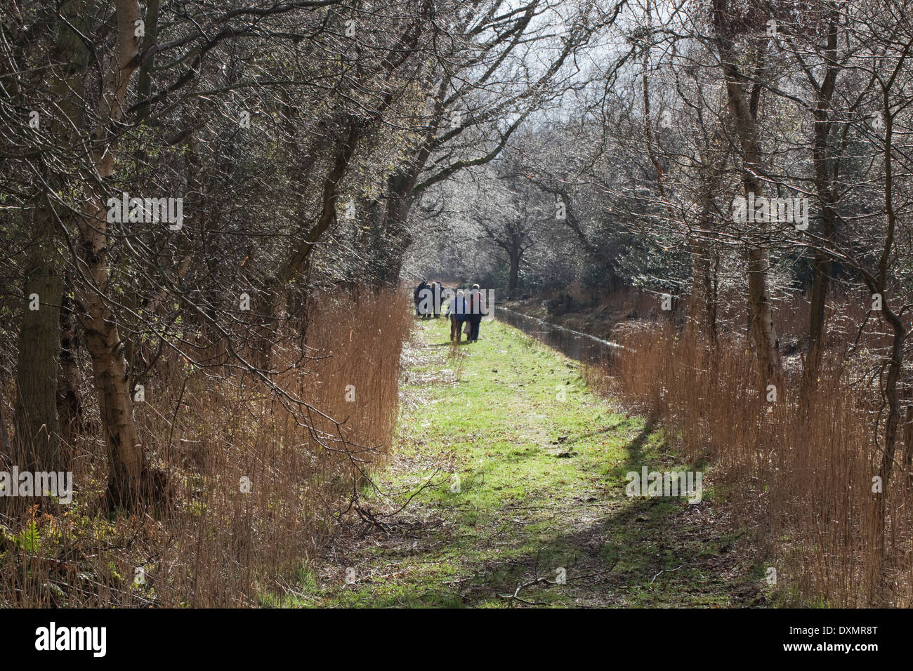 Dykeside à pied. Les marcheurs de loisirs. Broadland ; mars. Hickling. Le Norfolk. L'East Anglia. Banque D'Images