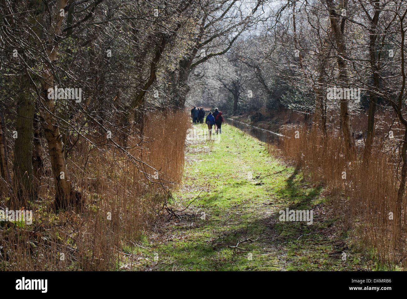 Dykeside à pied. Les marcheurs de loisirs. Broadland ; mars. Hickling. Le Norfolk. L'East Anglia. Banque D'Images