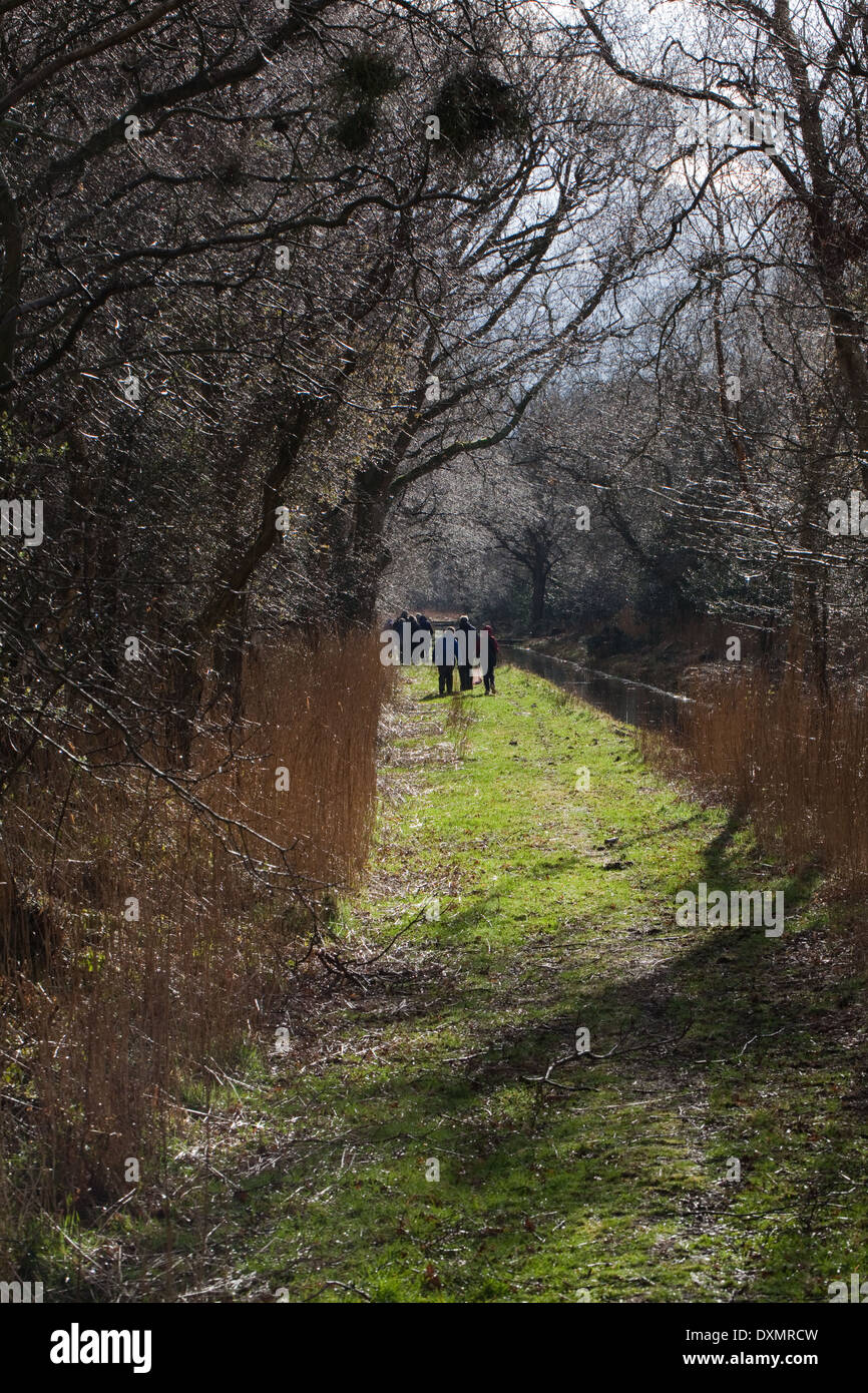 Dykeside à pied. Les marcheurs de loisirs. Broadland ; mars. Hickling. Le Norfolk. L'East Anglia. Banque D'Images