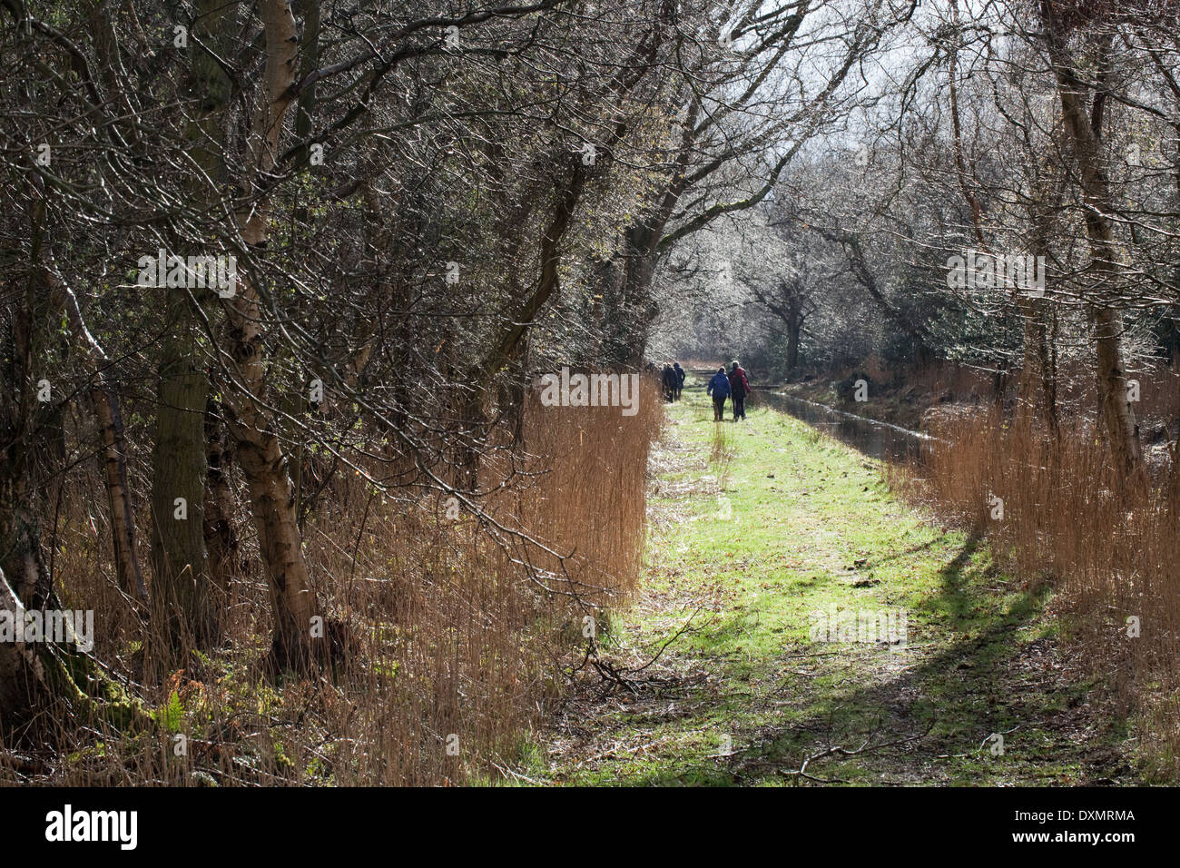 Dykeside à pied. Les marcheurs de loisirs. Broadland ; mars. Hickling. Le Norfolk. L'East Anglia. Banque D'Images