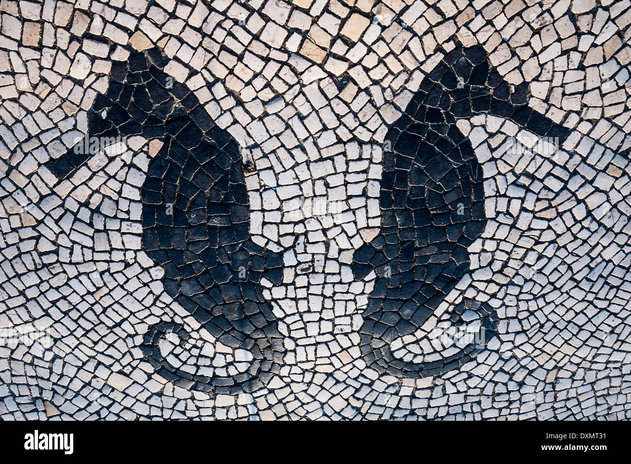 Mosaïque représentant hippocampe, Aveiro, Beira, Portugal Banque D'Images