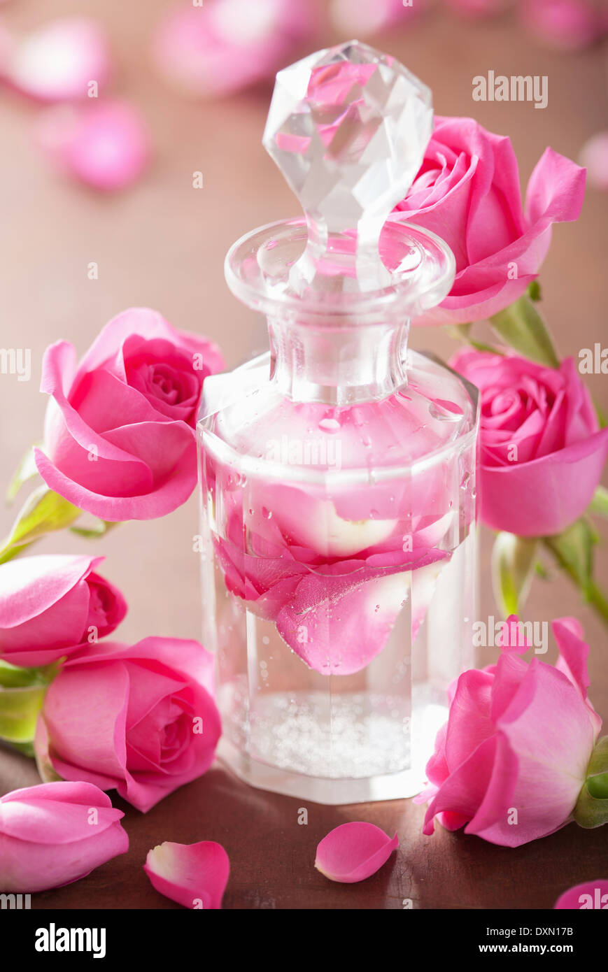 Flacon de parfum et de fleurs rose rose aromathérapie spa. Banque D'Images