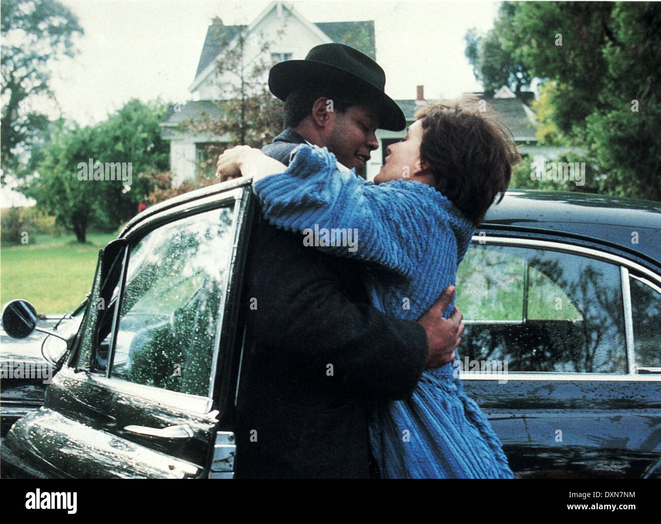 OISEAU Banque D'Images