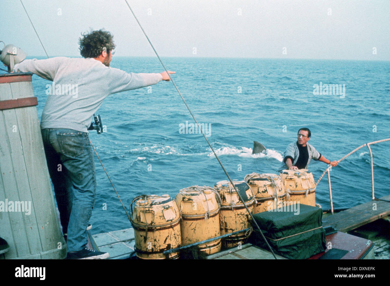 JAWS, 1975, film, film, Banque D'Images
