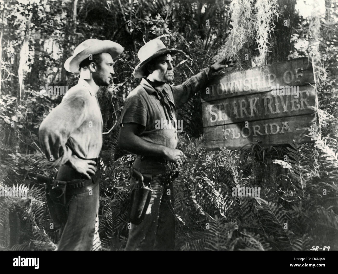 SHARK RIVER Banque D'Images