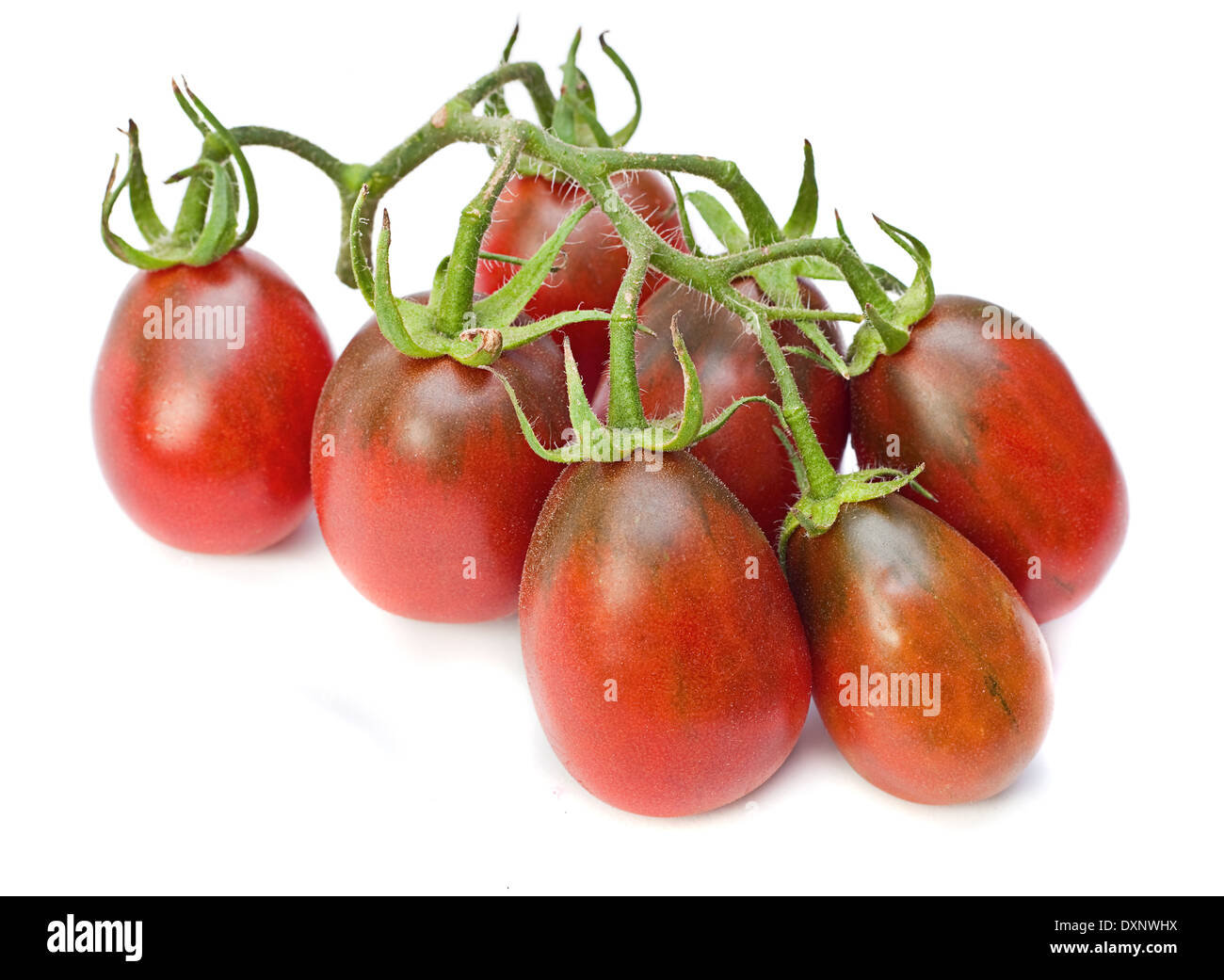 Tomate cerise rouge sur blanc gros plan Banque D'Images
