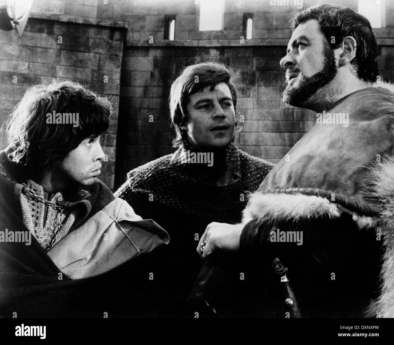 Le LION EN HIVER Banque D'Images