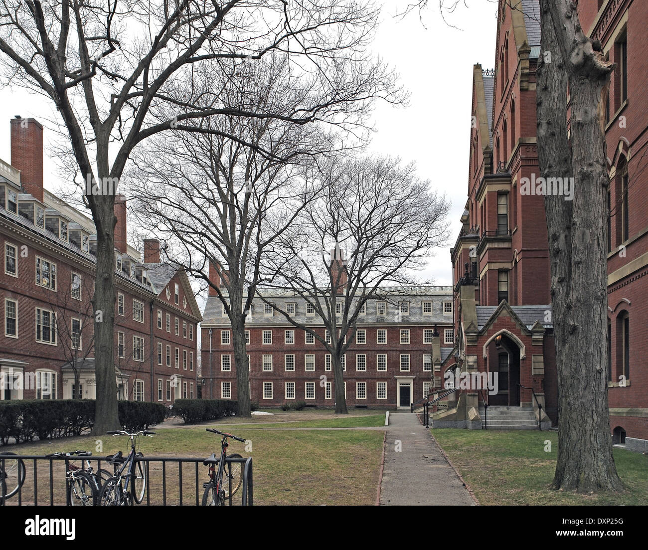 L'Harvard Yard à Cambridge (Massachusetts, USA) à l'heure d'hiver Banque D'Images