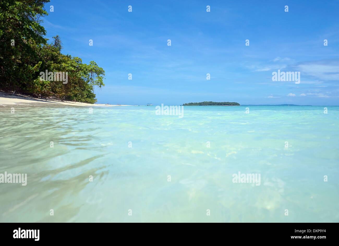 À partir de la surface de l'eau, plage tropicale avec de l'eau turquoise et d'une île à l'horizon, la mer des Caraïbes, Zapatillas cays, Panama Banque D'Images