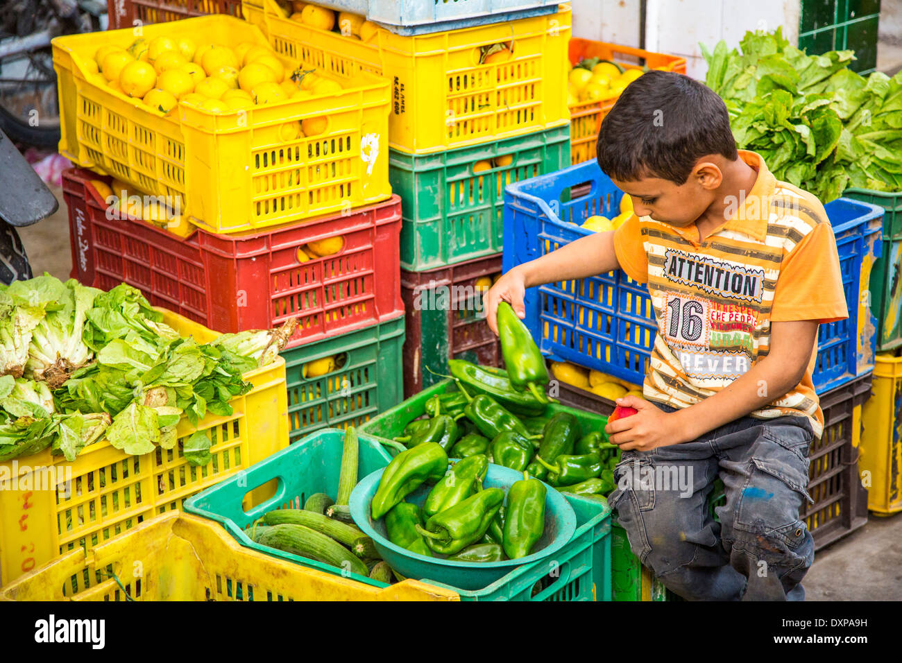 Jeune garçon travaillant dans un marché de légumes à Sousse, Tunisie Banque D'Images