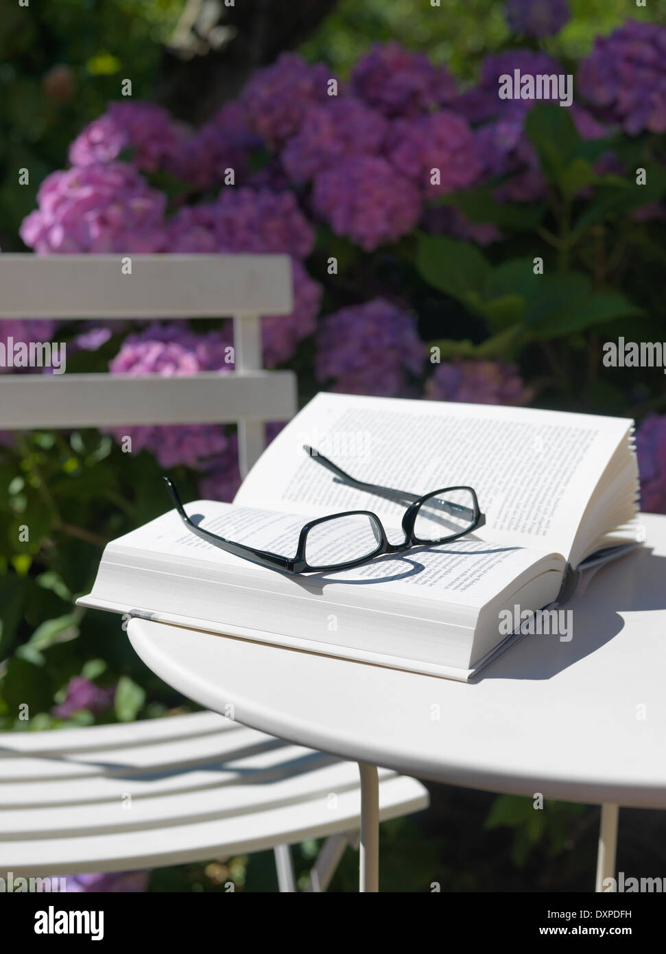 Hambourg, Allemagne, livre de lecture et verres sur une table de jardin Banque D'Images