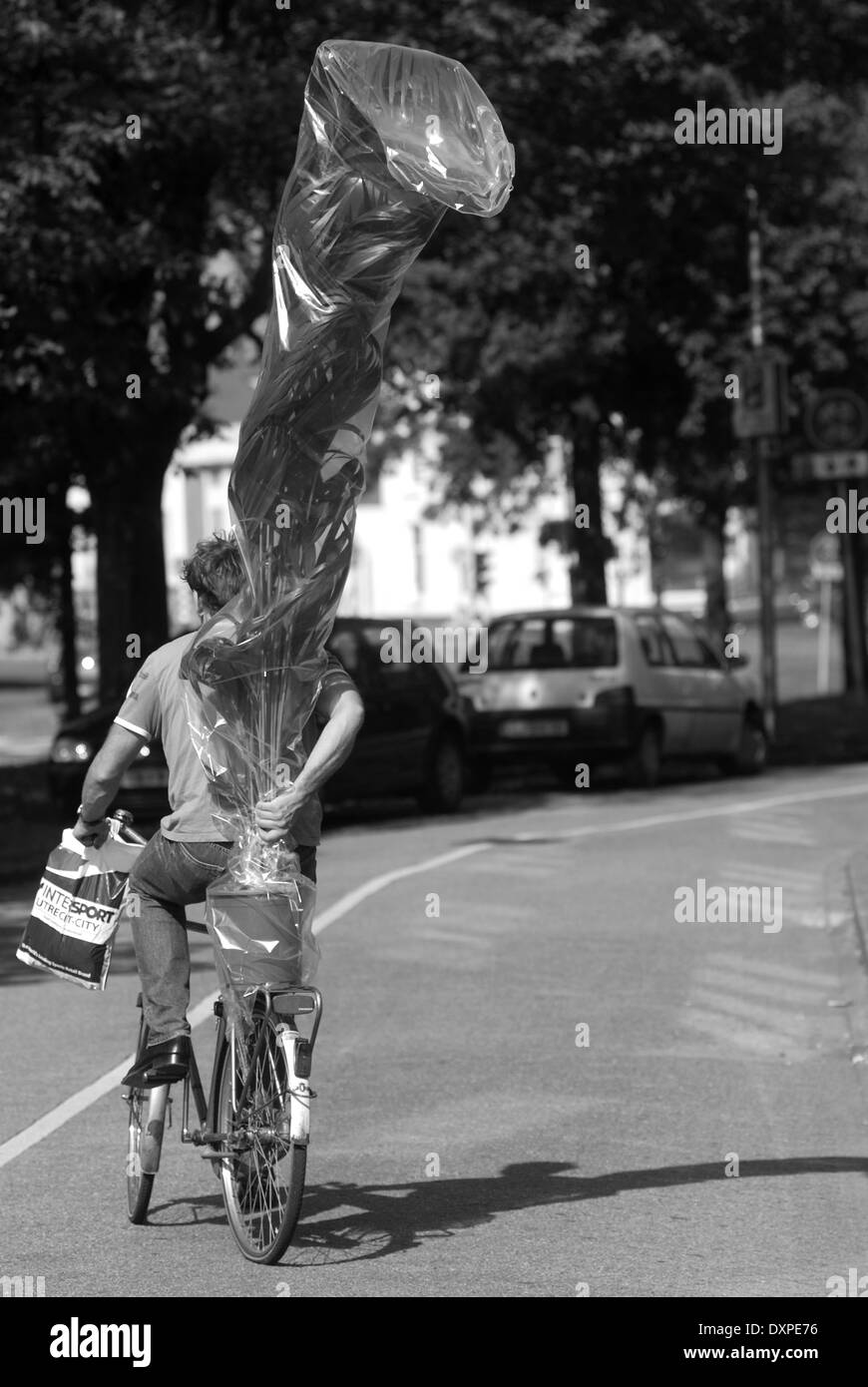 L'exercice cycliste de plante, Utrecht Banque D'Images