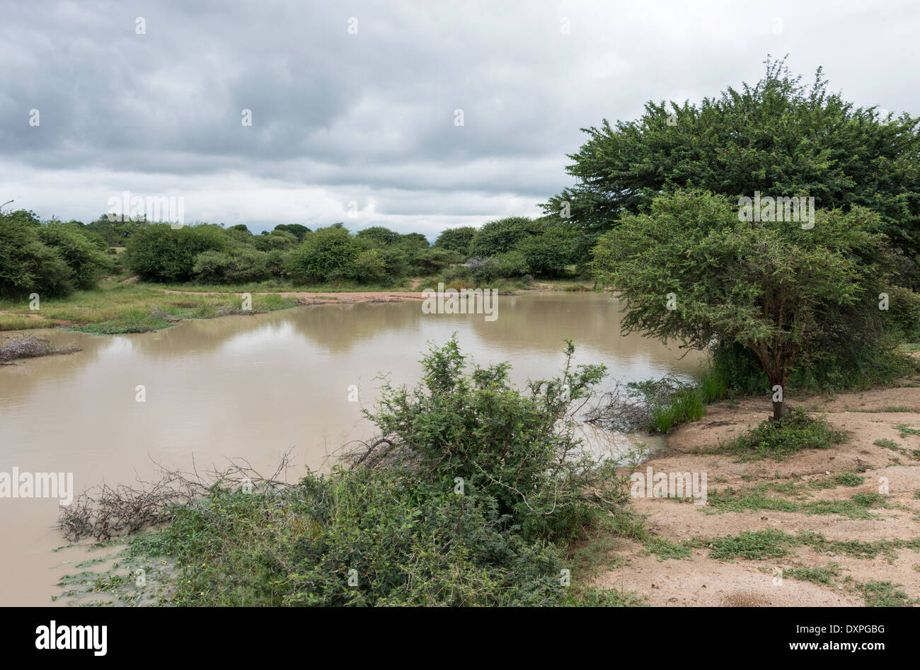 Espace nature avec de l'eau en réserve, afrique du sud Banque D'Images
