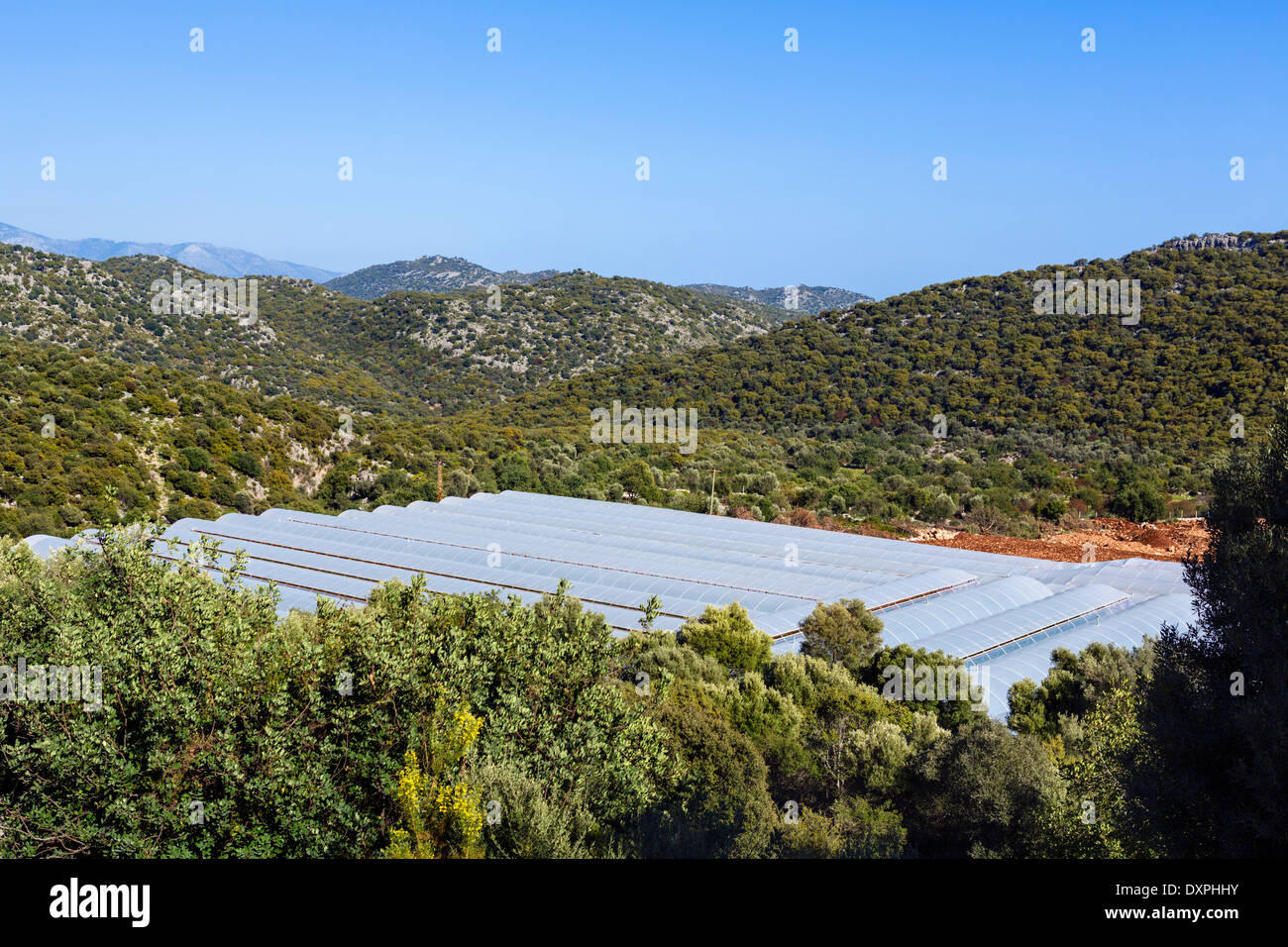 Polytunnels dans la campagne près de Demre, Antalya Province, Turkey Banque D'Images