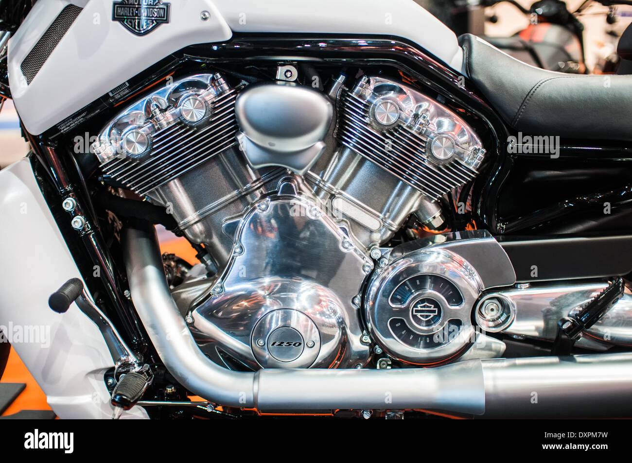 Poznan, Pologne. Mar 27, 2014. Poznan Motor Show est le plus grand événement juste en Pologne, l'industrie automobile, organisé chaque année par la foire internationale. Sur la photo de Harley Davidson V-Rod Muscle. Credit : Lukas Juszczak/Alamy Live News Banque D'Images