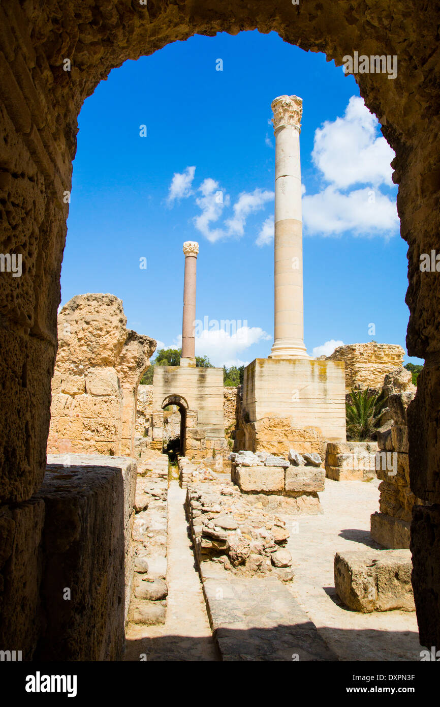 Ruines de Carthage, Tunis, Tunisie Banque D'Images
