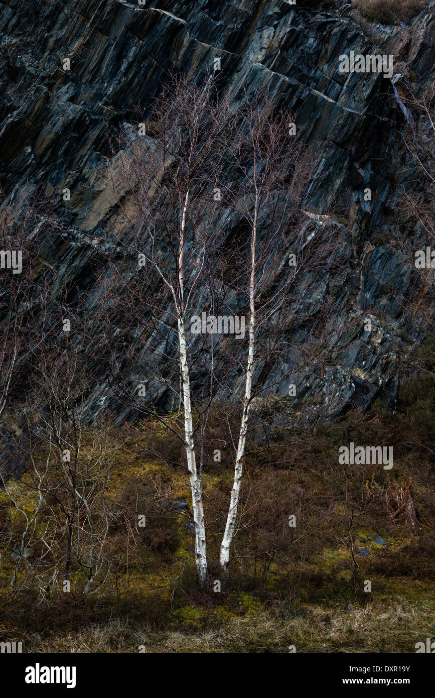 La carrière d'Ardoise Ballachulish Banque D'Images