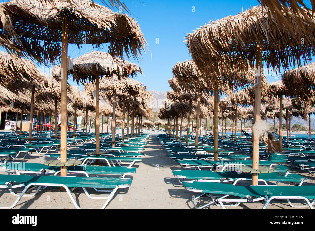 Parasols et chaises longues sur la plage de Elafonissi, Crète, Grèce Banque D'Images