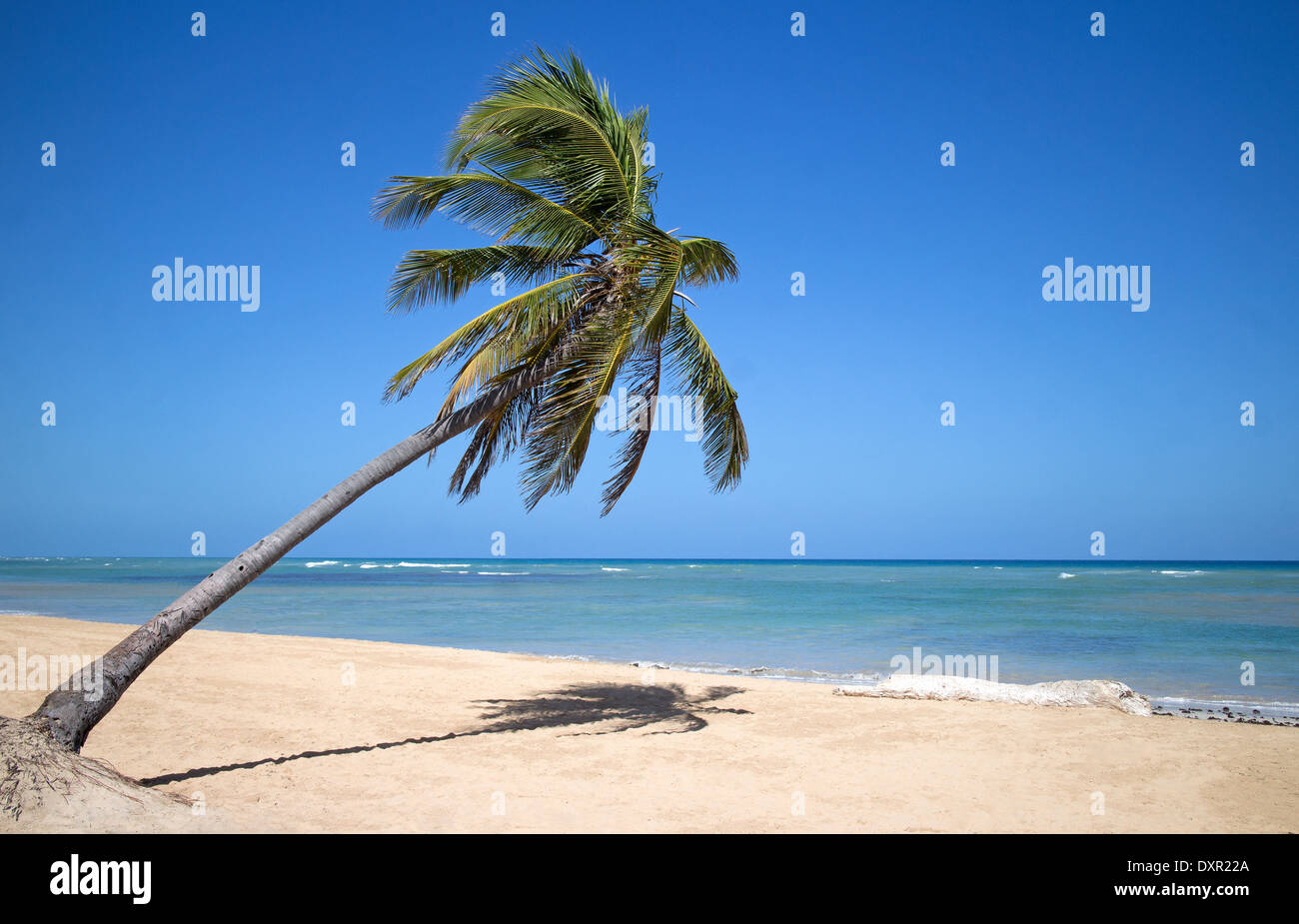 Punta Cana Beach Banque D'Images
